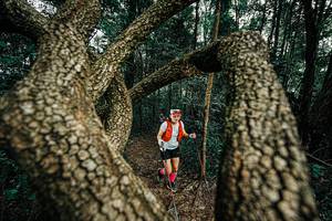 BIB: 
                            <button type="button" onclick="openModal(25392986)" class="btn btn-primary btn-sm float-right btn-popup" data-toggle="modal" data-target=".modal-high-quality">
                        <i class="fas fa-shopping-cart"></i> Add to Cart
                    </button>
                                            <button type="button" onclick="isThisMe(25392986, true)" class="btn btn-success btn-sm float-right btn-popup btn-isme hidden" data-toggle="tooltip" data-placement="bottom" title="นี่คือรูปของคุณใช่ไหม คลิกที่นี่เพื่อเอาเข้าอัลบั้ม">
                        <i class="fas fa-plus"></i> Add to album
                    </button>
                    <button type="button" onclick="isThisMe(25392986, false)" class="btn btn-warning btn-sm float-right btn-popup btn-isnotme hidden">
                        <i class="fas fa-ban"></i> Remove from album
                    </button>